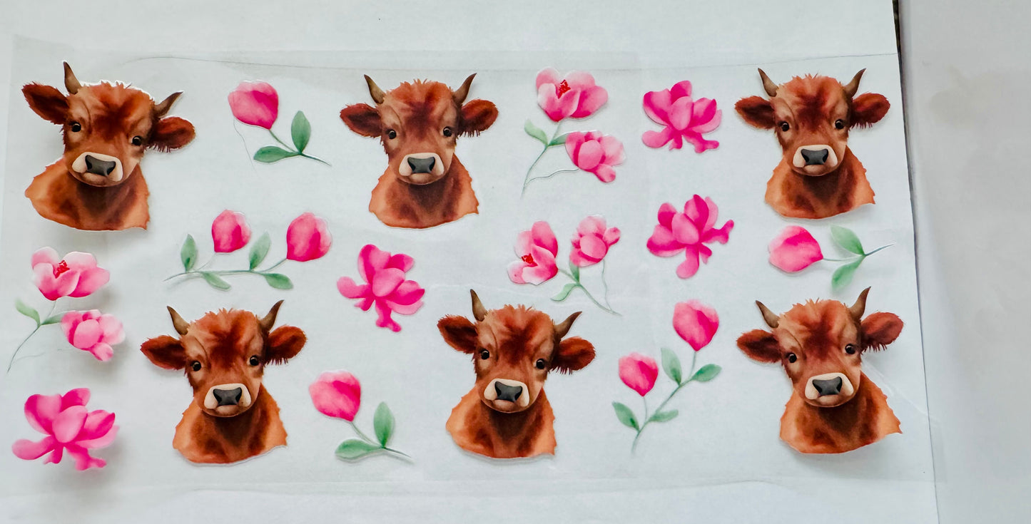 Highland cows and flowers