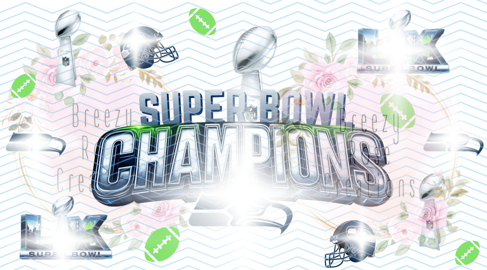 SB Champs Seahawks