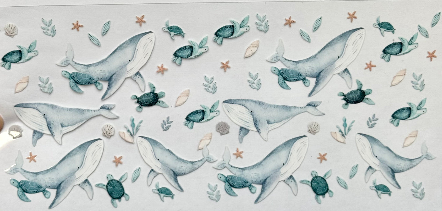 Whales