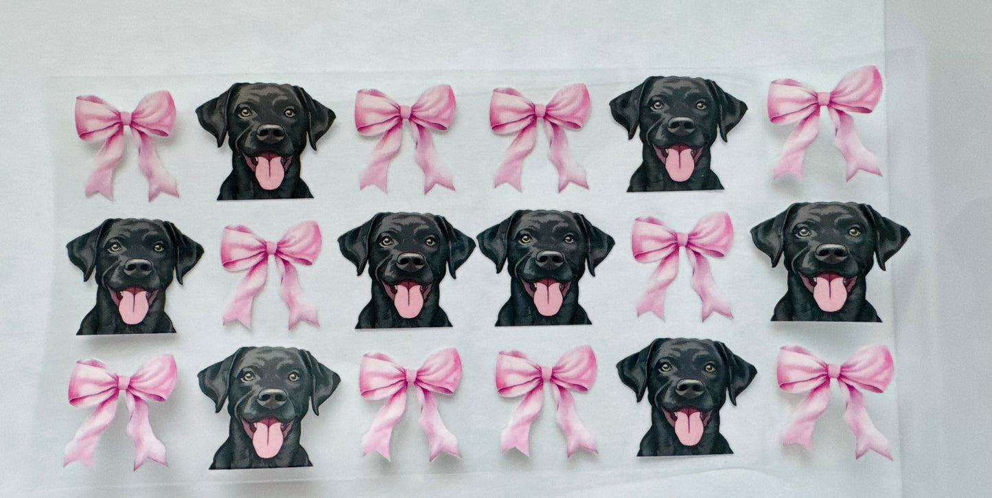 Black lab and Bows