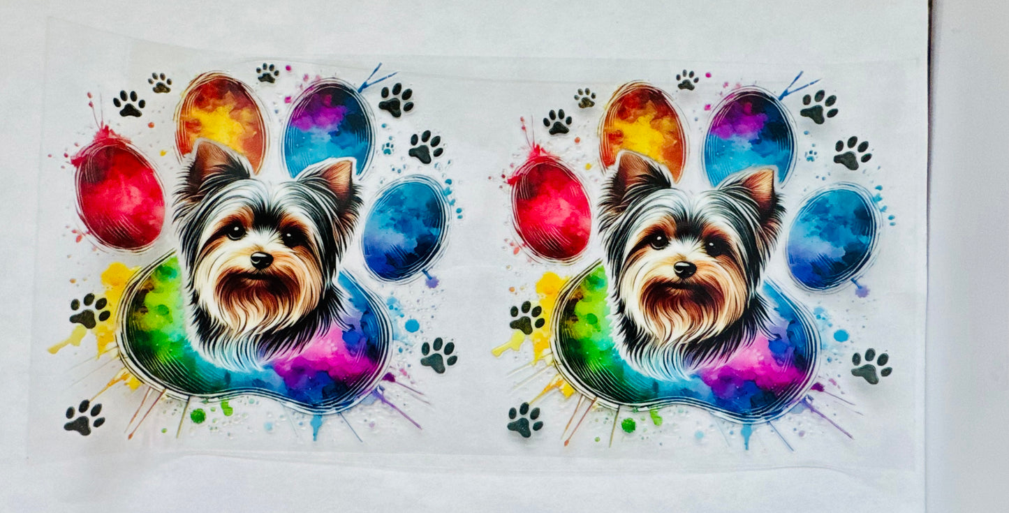 Yorkie
