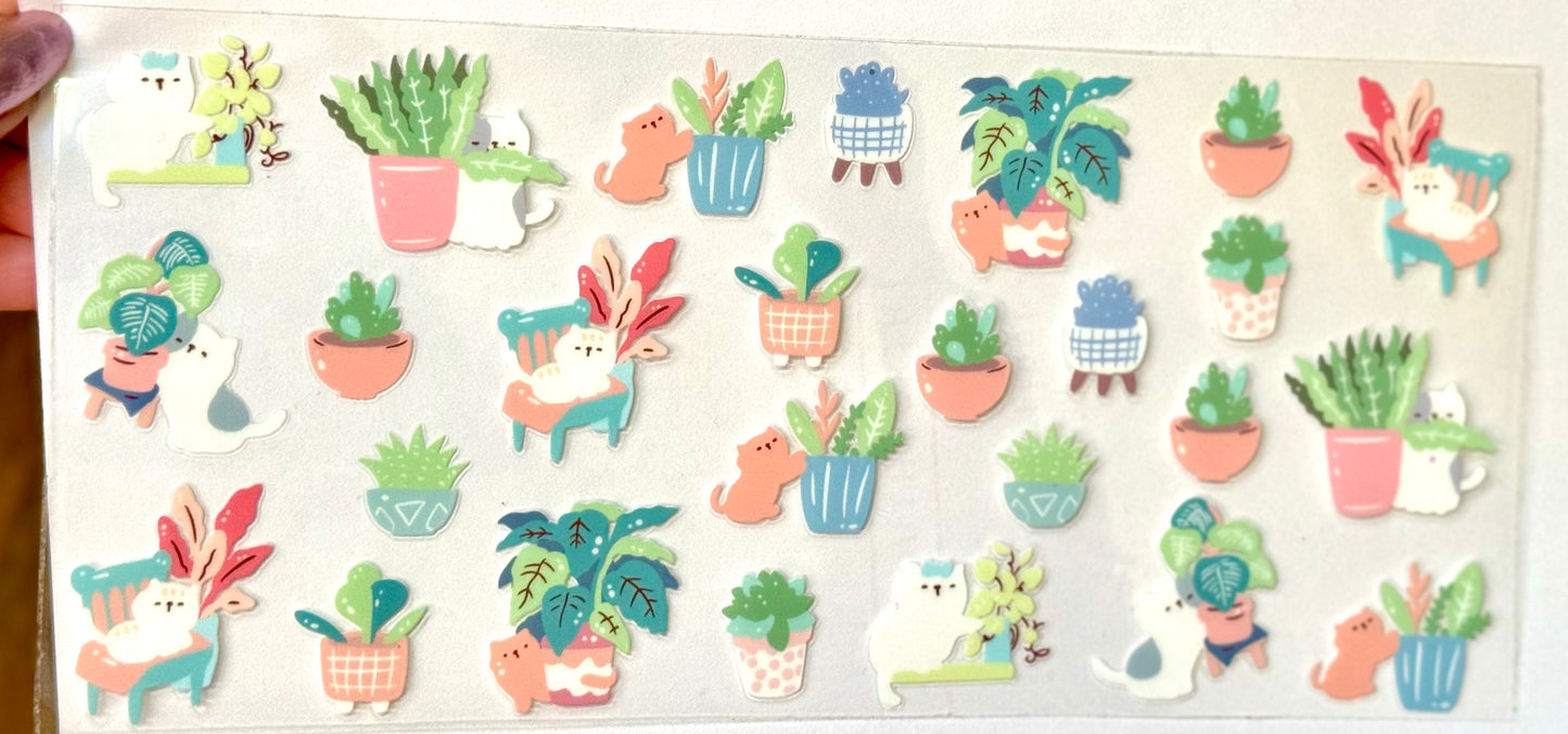 Cat Plants