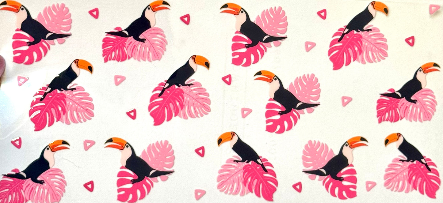 Toucan