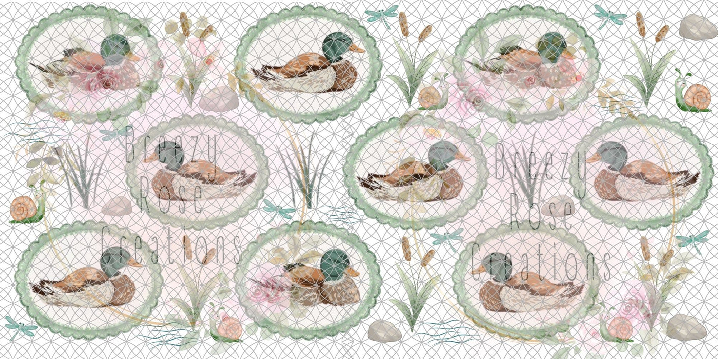Mallard Ducks