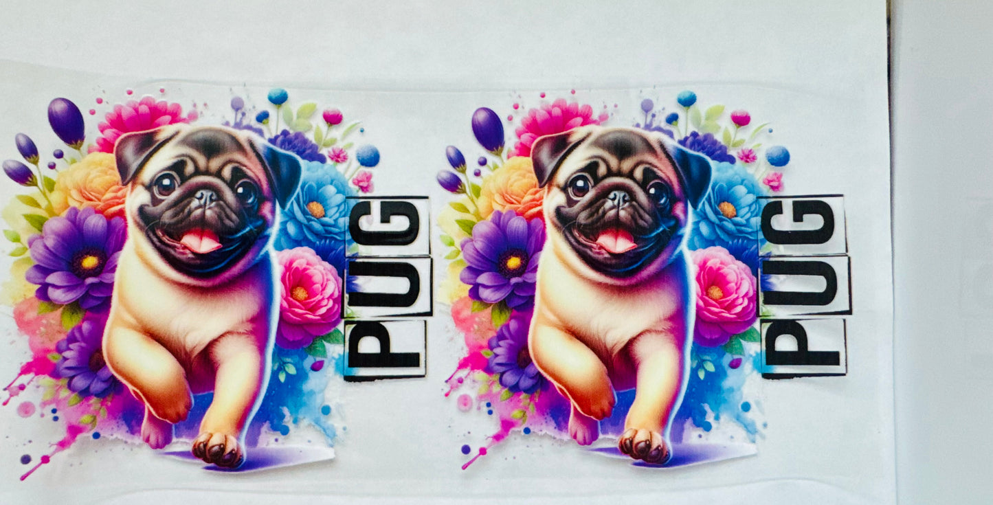 Pug