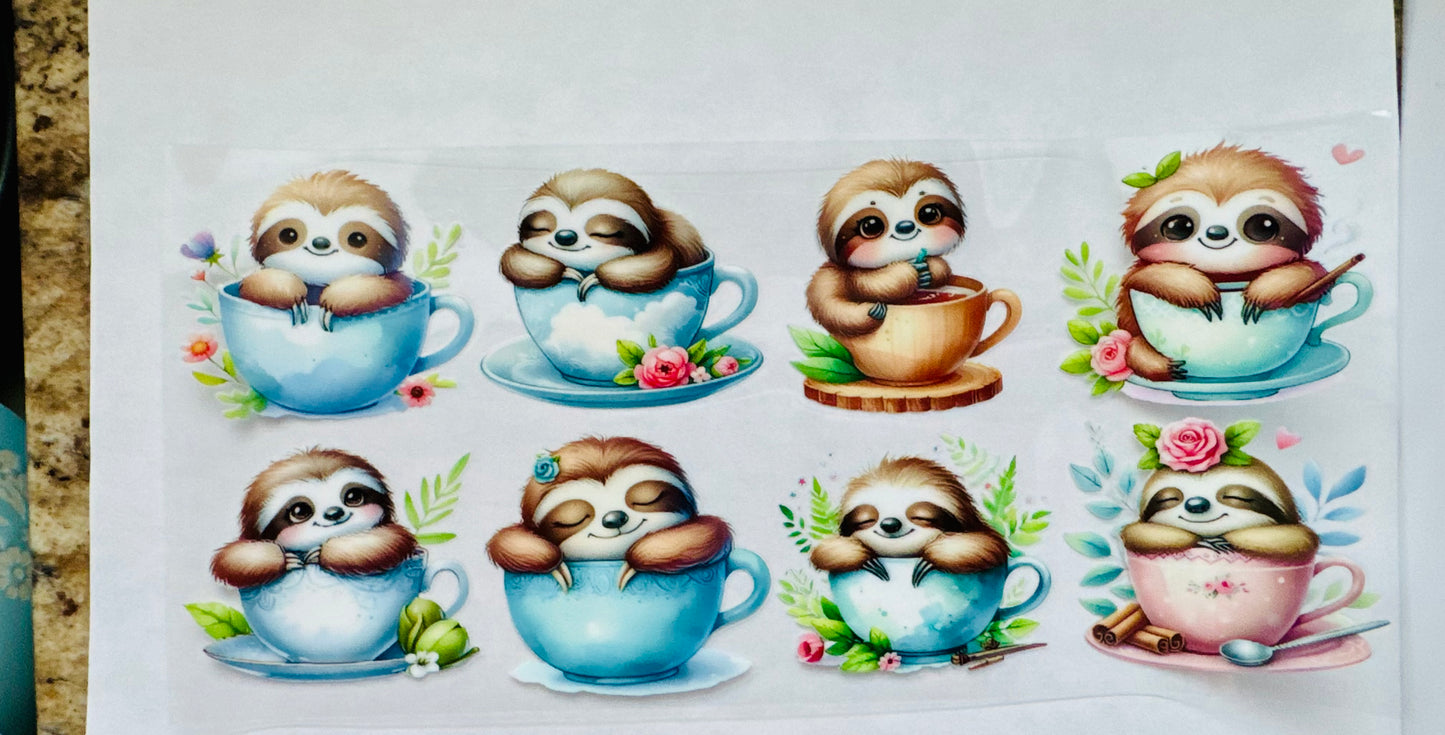 Baby sloths