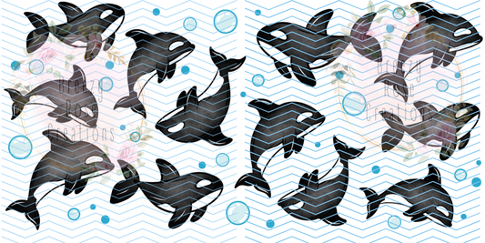 Orcas
