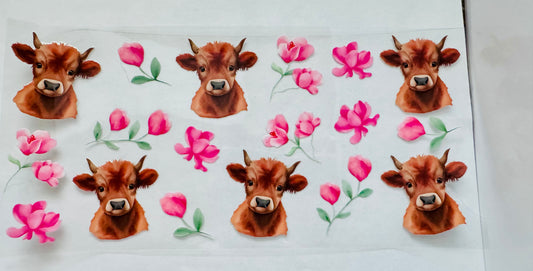 Highland cows and flowers