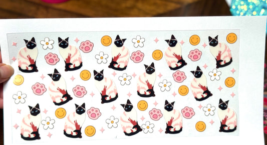 Cat smiley and paws