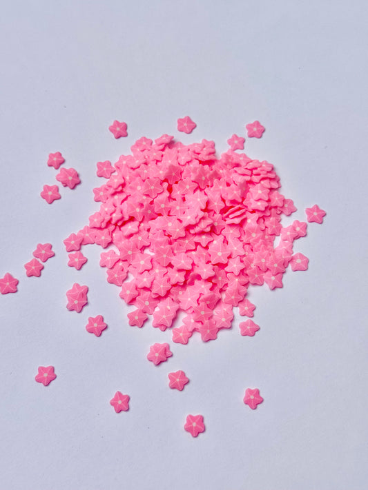 Light Bright Pink Starfish Slices