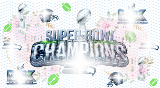 SB Champs Seahawks