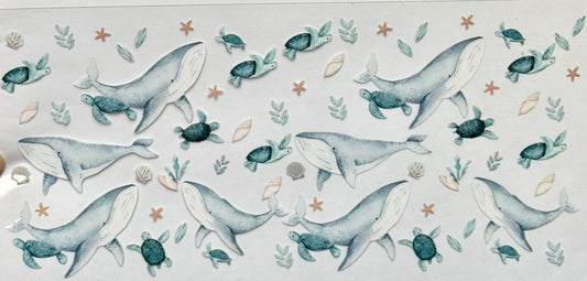 Whales