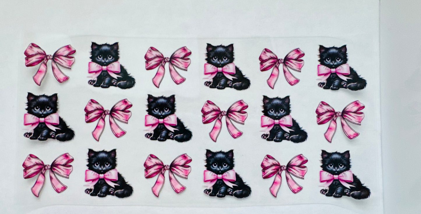 Black kitten and Bows