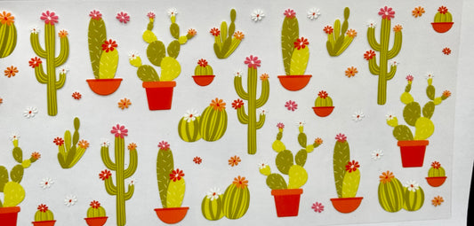 Cacti