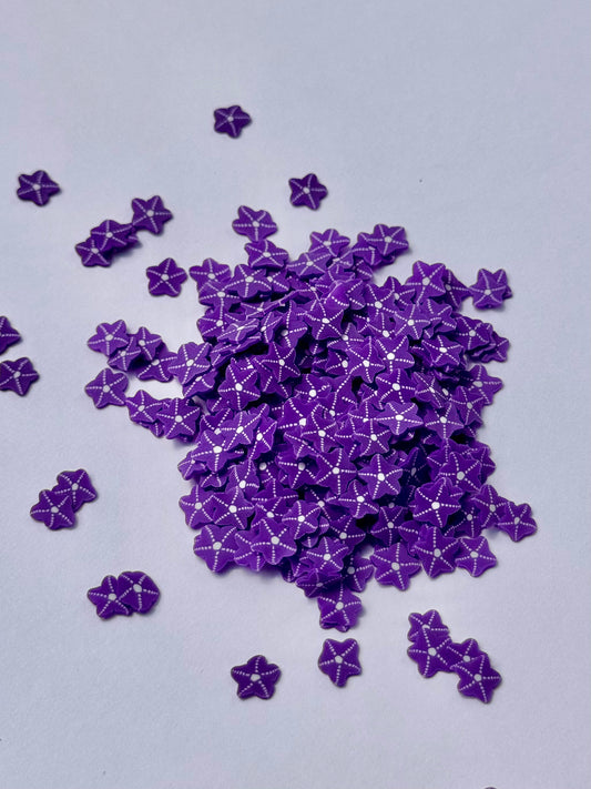 Dark Purple Starfish Slices