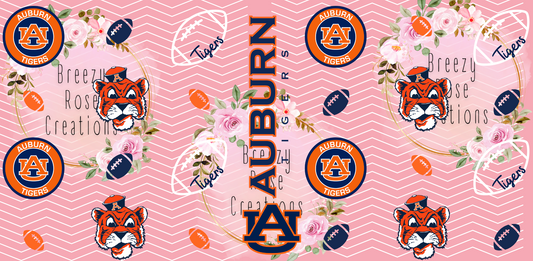 Auburn University