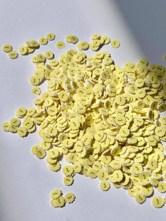 Sunshine Slices
