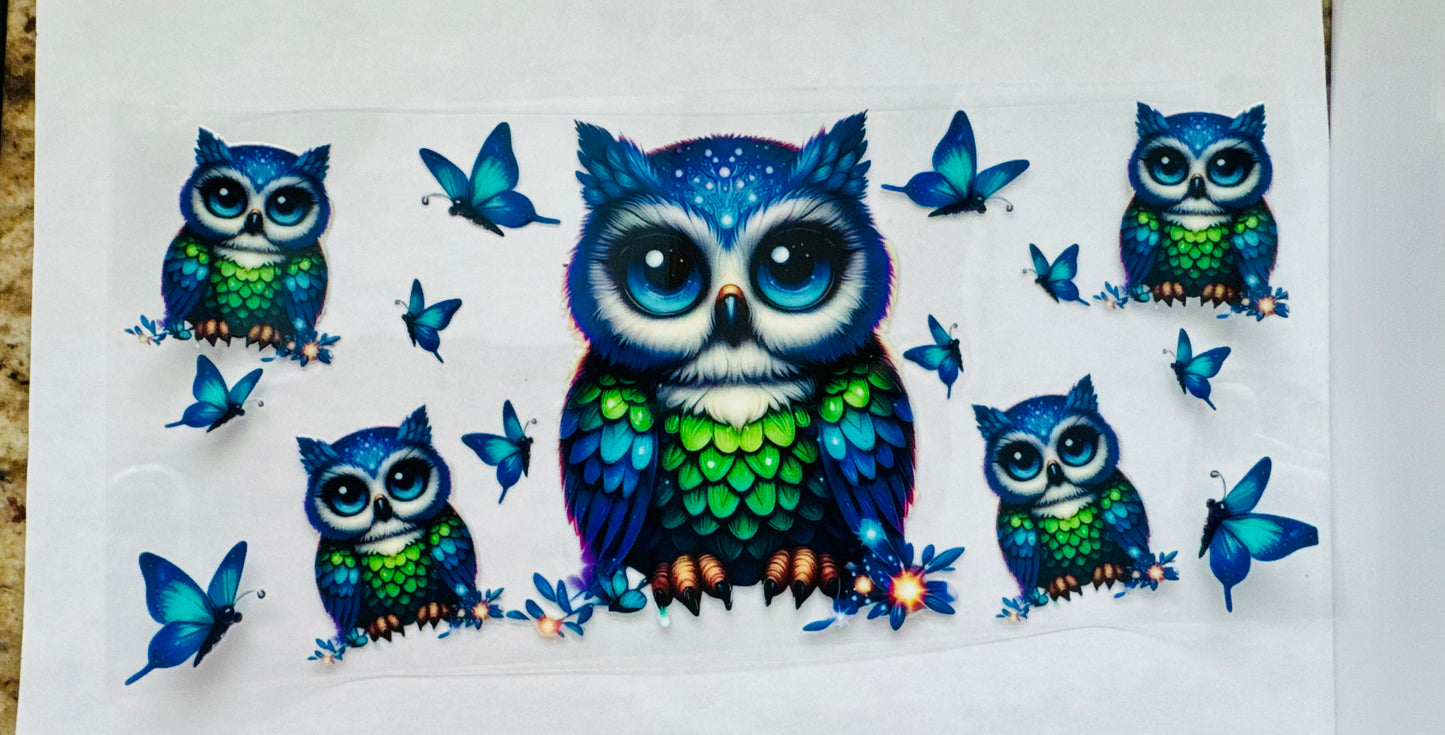 Owls and butterflies