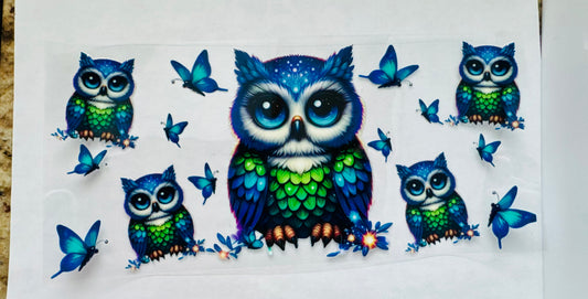 Owls and butterflies