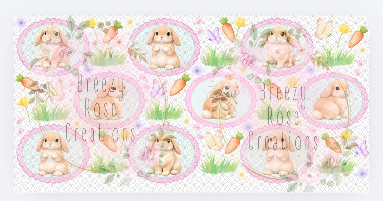 Holland Lop Bunny Coquette