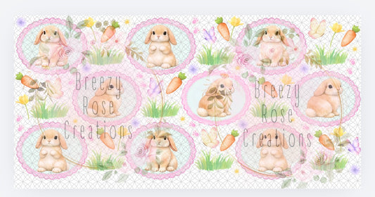 Holland Lop Bunny Coquette