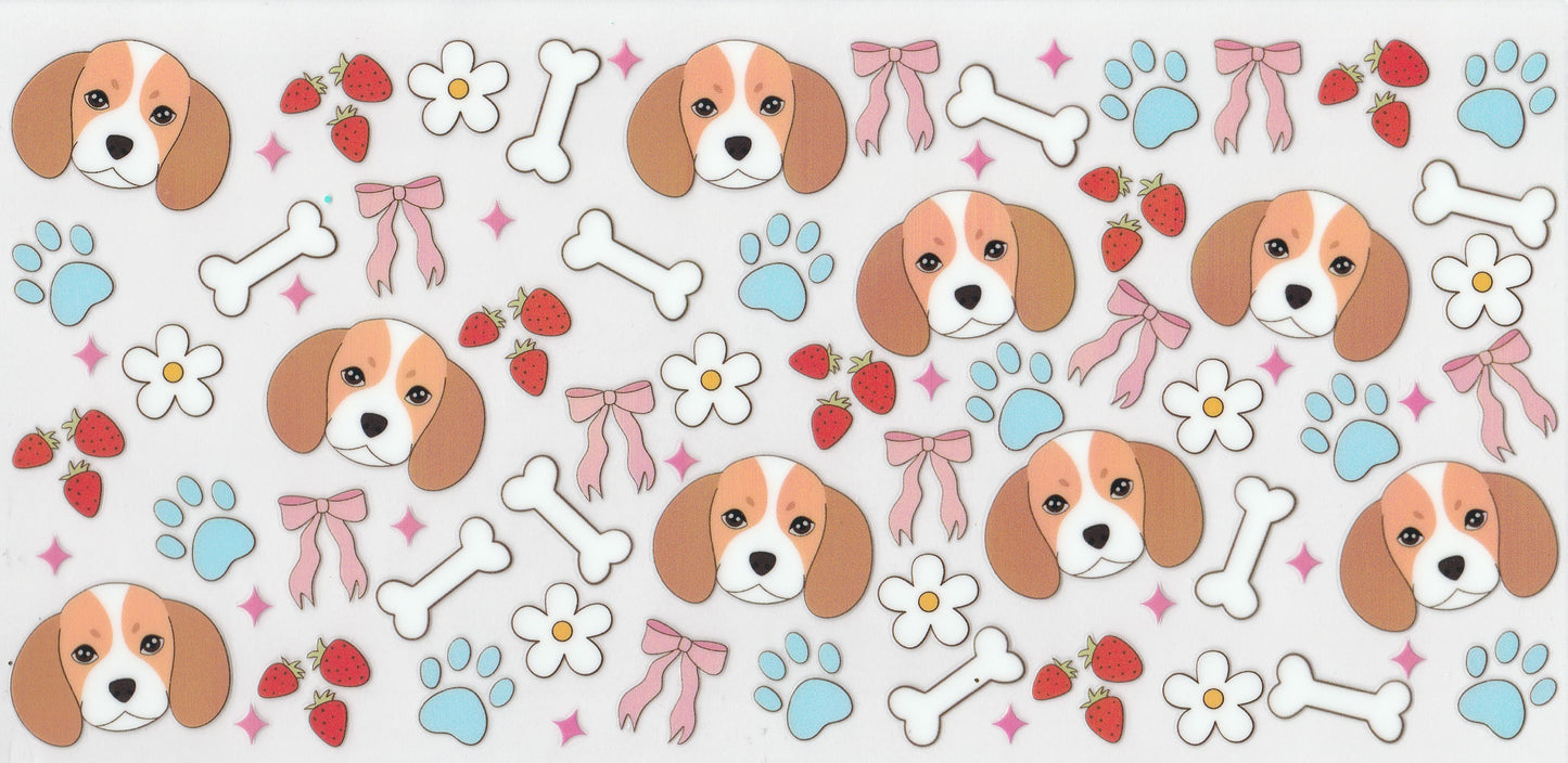 Beagle