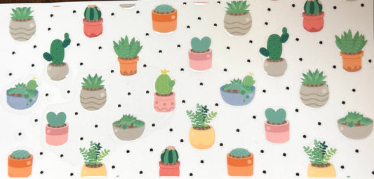 Succulents